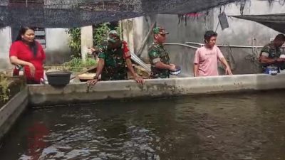 Babinsa Memantau Peternak Lele, Berikan Motivasi Kembangkan Usaha