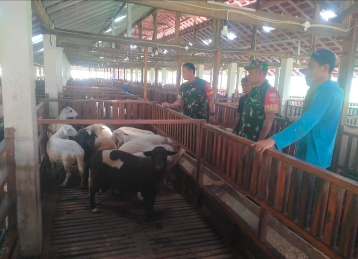 Babinsa Imbau Warga Segera Lapor Jika Ditemukan Penyakit pada Hewan Kambing      