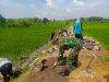 Babinsa Bangun Jalan Menuju Sawah, Mempermudah Akses Petani Menuju Sawah