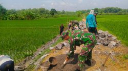 Babinsa Bangun Jalan Menuju Sawah, Mempermudah Akses Petani Menuju Sawah