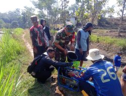 Babinsa Bantu Petani Mengairi Sawah dengan Mesin Diesel