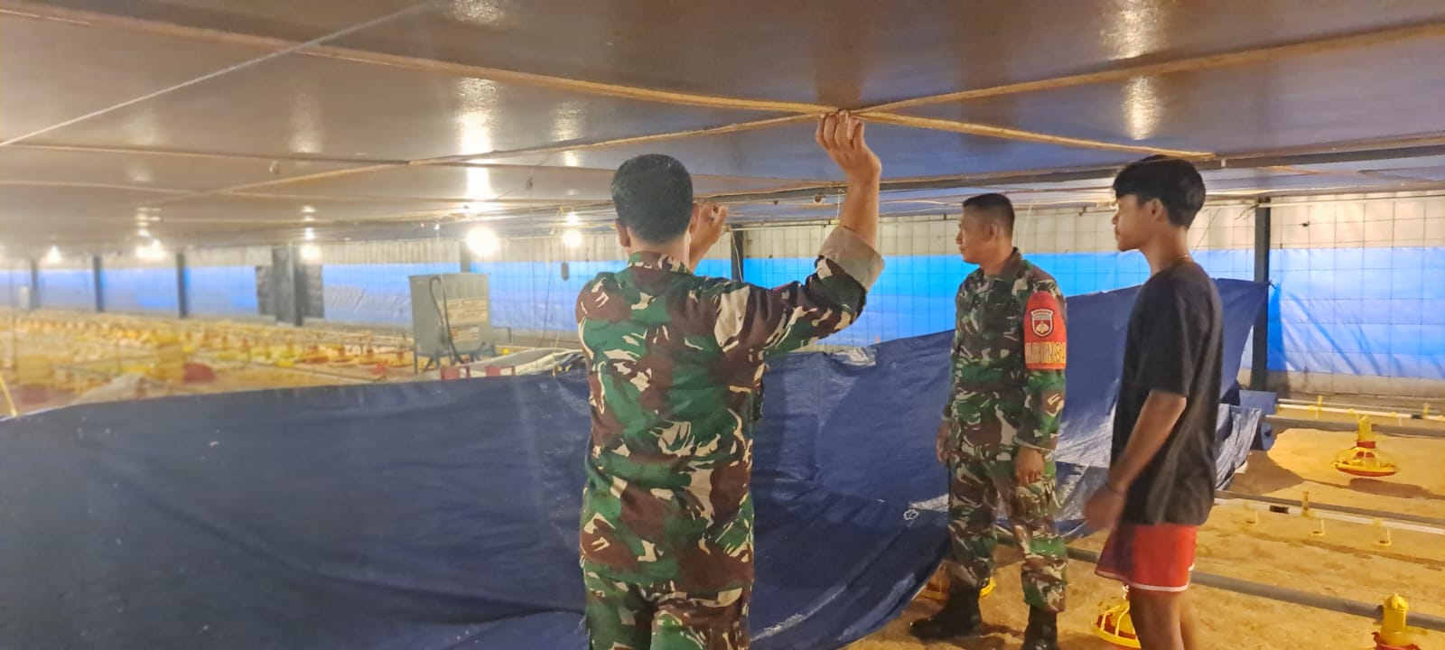 Babinsa Imbau Pemilik Kandang Ayam Potong Tidak Dekat Permukiman Warga 