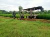 Babinsa Himbau Petani Lakukan Penyemprotan pada Waktu yang Tepat
