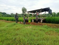 Babinsa Himbau Petani Lakukan Penyemprotan pada Waktu yang Tepat