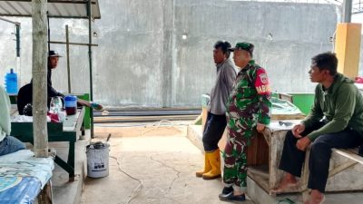 Babinsa Berbagi Informasi dengan Warga, Perkuat Sinergi dan Kebersamaan Babinsa Berbagi Informasi dengan Warga, Perkuat Sinergi dan Kebersamaan