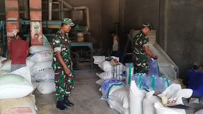 Babinsa Kunjungi Penggilingan Padi, Monitoring Harga Beras di Bulan Puasa Babinsa Kunjungi Penggilingan Padi, Monitoring Harga Beras di Bulan Puasa