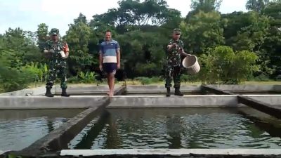 Babinsa Tinjau Kondisi Peternak Ikan, Imbau Jaga Kualitas Produksi Babinsa Tinjau Kondisi Peternak Ikan, Imbau Jaga Kualitas Produksi