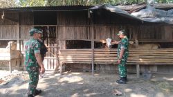Babinsa Pantau Kesehatan Ternak Sapi, Beri Pesan Penting Untuk Peternak Babinsa Pantau Kesehatan Ternak Sapi, Beri Pesan Penting Untuk Peternak