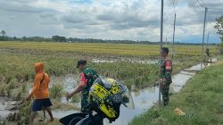Babinsa Laksanakan Komsos dengan Peternak Bebek Petelur, Dorong Peningkatan Produksi dan Kesejahteraan Babinsa Laksanakan Komsos dengan Peternak Bebek Petelur, Dorong Peningkatan Produksi dan Kesejahteraan