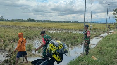 Babinsa Laksanakan Komsos dengan Peternak Bebek Petelur, Dorong Peningkatan Produksi dan Kesejahteraan Babinsa Laksanakan Komsos dengan Peternak Bebek Petelur, Dorong Peningkatan Produksi dan Kesejahteraan
