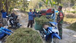 Babinsa Datangi Petani yang Sedang Panen Padi, Wujud Kepedulian di Tengah Sawah Babinsa Datangi Petani yang Sedang Panen Padi, Wujud Kepedulian di Tengah Sawah