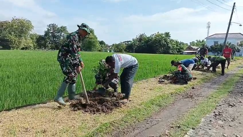 Babinsa dan Warga Manfaatkan Lahan Kosong, Gelar Penghijauan