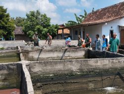 Banyak Warga Membutuhkan Lele, Babinsa Berikan Dukungan kepada Peternak