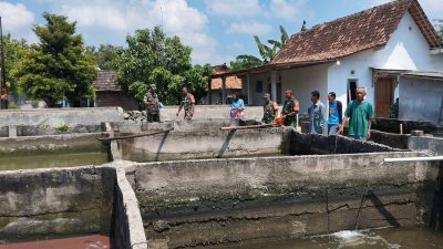 Banyak Warga Membutuhkan Lele, Babinsa Berikan Dukungan kepada Peternak