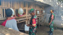 Babinsa Lakukan Pendampingan Peternak Ayam serta Berikan Himbauan