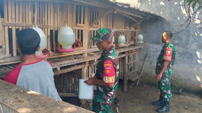 Babinsa Lakukan Pendampingan Peternak Ayam serta Berikan Himbauan