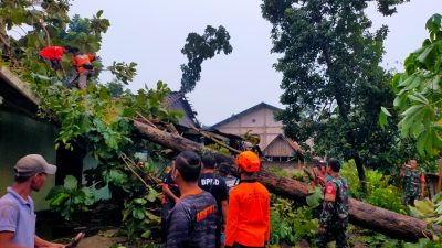 Babinsa Sigap Bantu Evakuasi Pohon Tumbang Timpa Rumah Warga