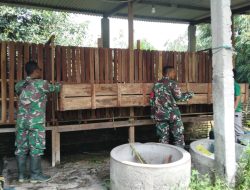 Babinsa Pantau Ternak Kambing, Imbau Warga Jaga Kebersihan Kandang agar Tidak Menimbulkan Bau