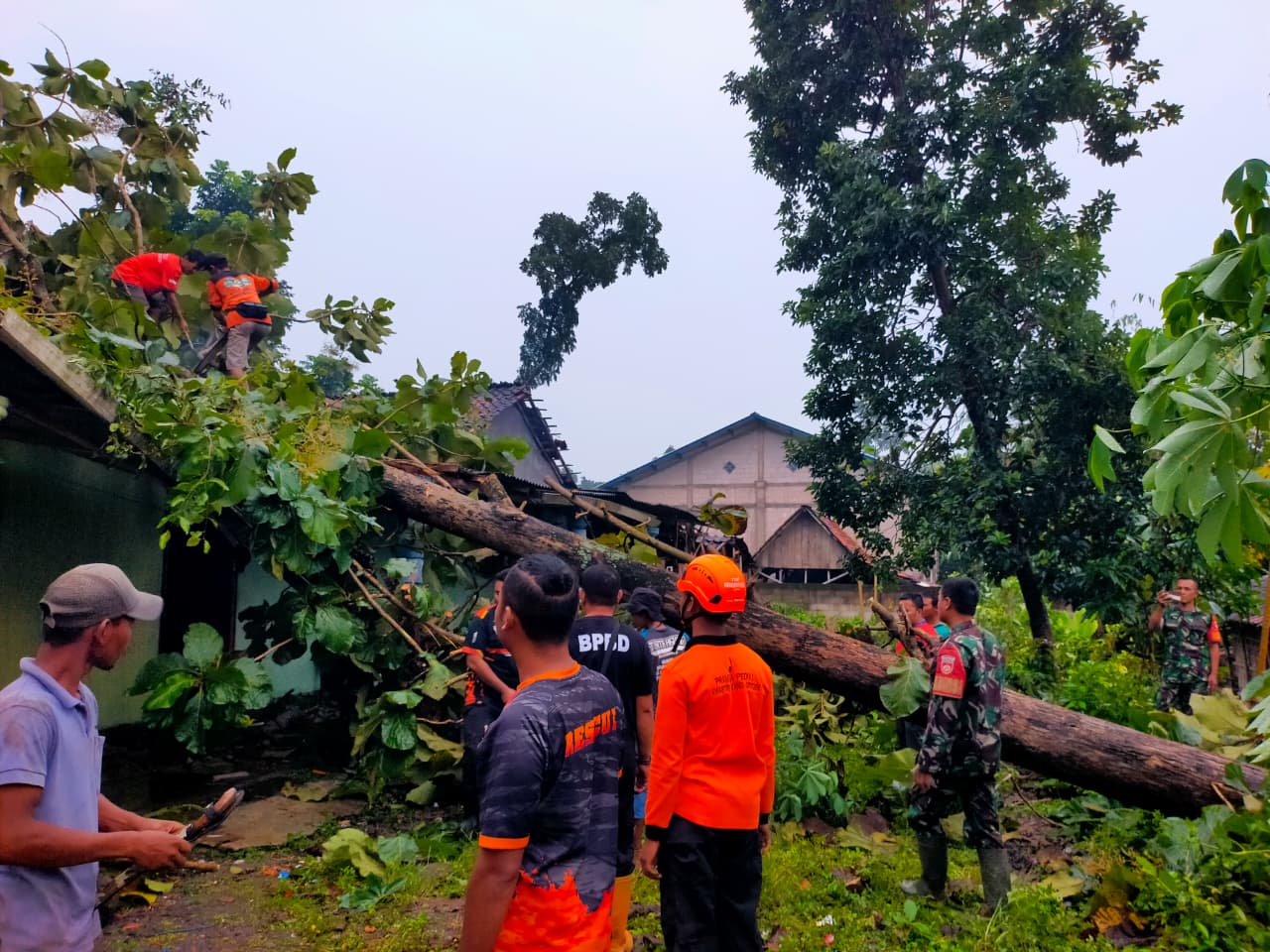 Babinsa Sigap Bantu Evakuasi Pohon Tumbang Timpa Rumah Warga