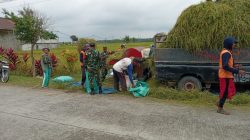 Babinsa Peduli, Babinsa Bantu Panen