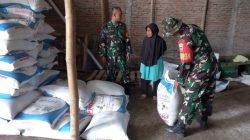 Babinsa Memastikan Ketersediaan Pupuk Bersubsidi
