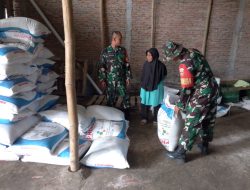 Babinsa Memastikan Ketersediaan Pupuk Bersubsidi