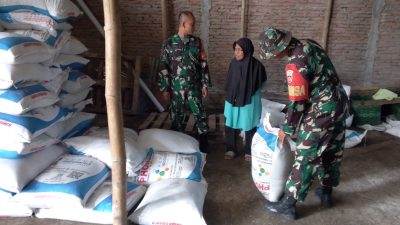 Babinsa Memastikan Ketersediaan Pupuk Bersubsidi