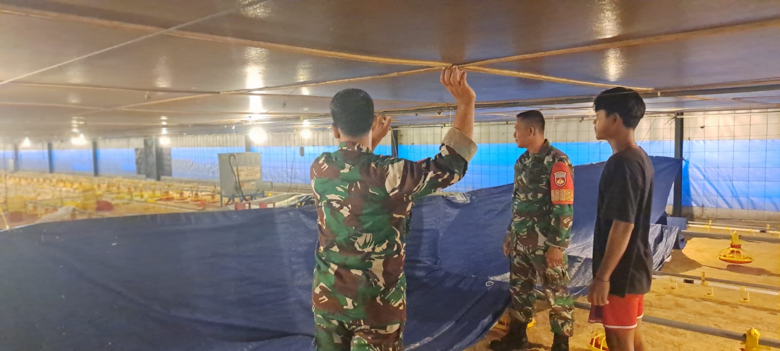 Babinsa Dorong Budidaya Ayam Potong Milik Warga