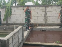 Babinsa Imbau Peternak Tingkatkan Pertumbuhan Ikan Lele