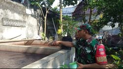 Harga Pakan Ikan Melambung, Babinsa Imbau Peternak Tetap Semangat Jaga Usaha