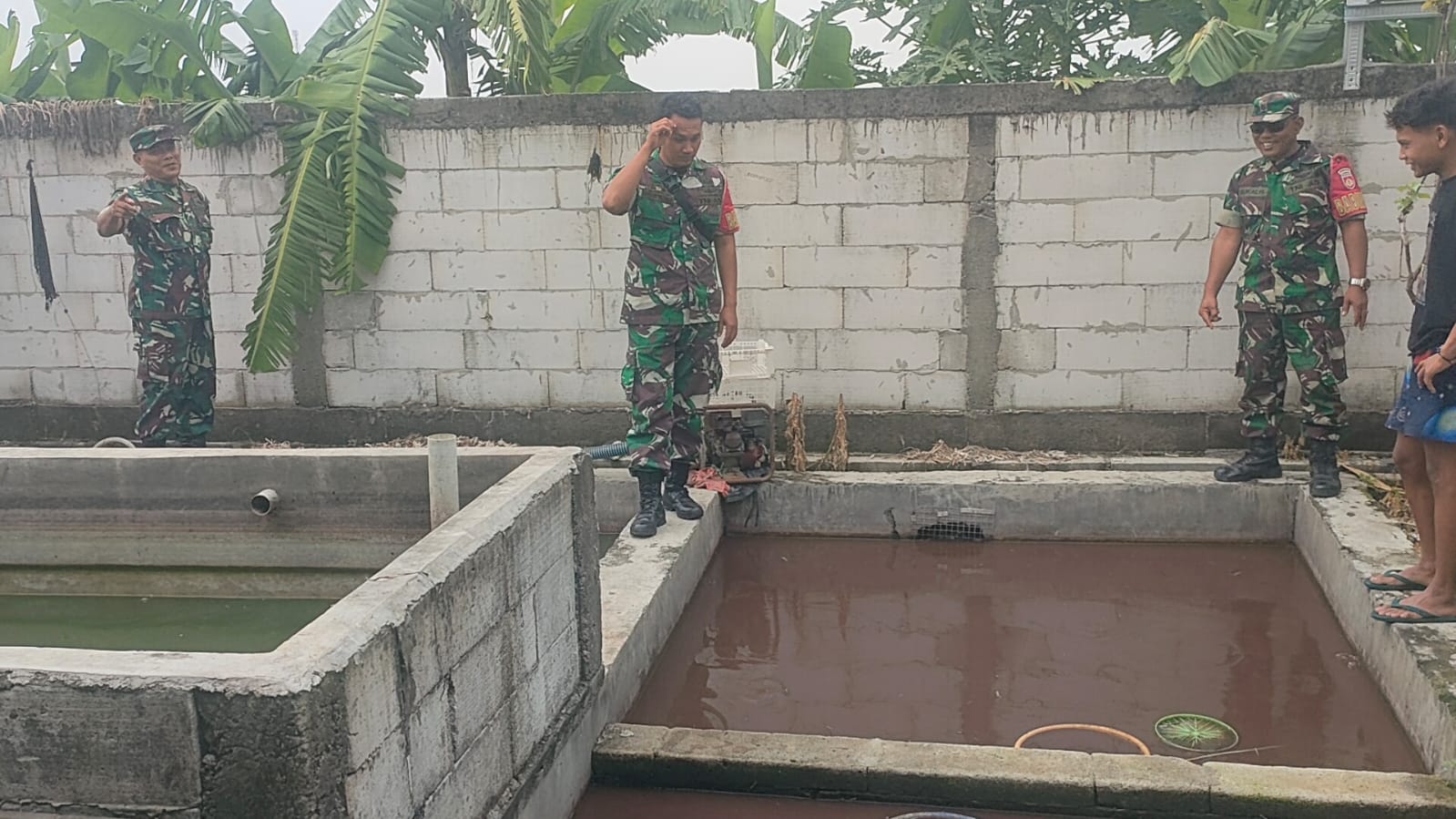 Babinsa Imbau Peternak Tingkatkan Pertumbuhan Ikan Lele