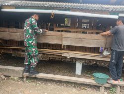 Babinsa Lakukan Pemantauan Peternakan Kambing, Imbau Agar Tumbuh Optimal