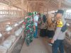 Babinsa Cek Kebersihan Kandang Peternak Kambing, Ingatkan Pentingnya Sanitasi