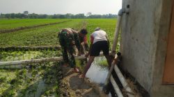 Babinsa Bantu Pengairan Sawah, Dukung Ketahanan Pangan di Wilayah Babinsa Bantu Pengairan Sawah, Dukung Ketahanan Pangan di Wilayah