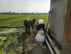 Babinsa Bantu Pengairan Sawah, Dukung Ketahanan Pangan di Wilayah