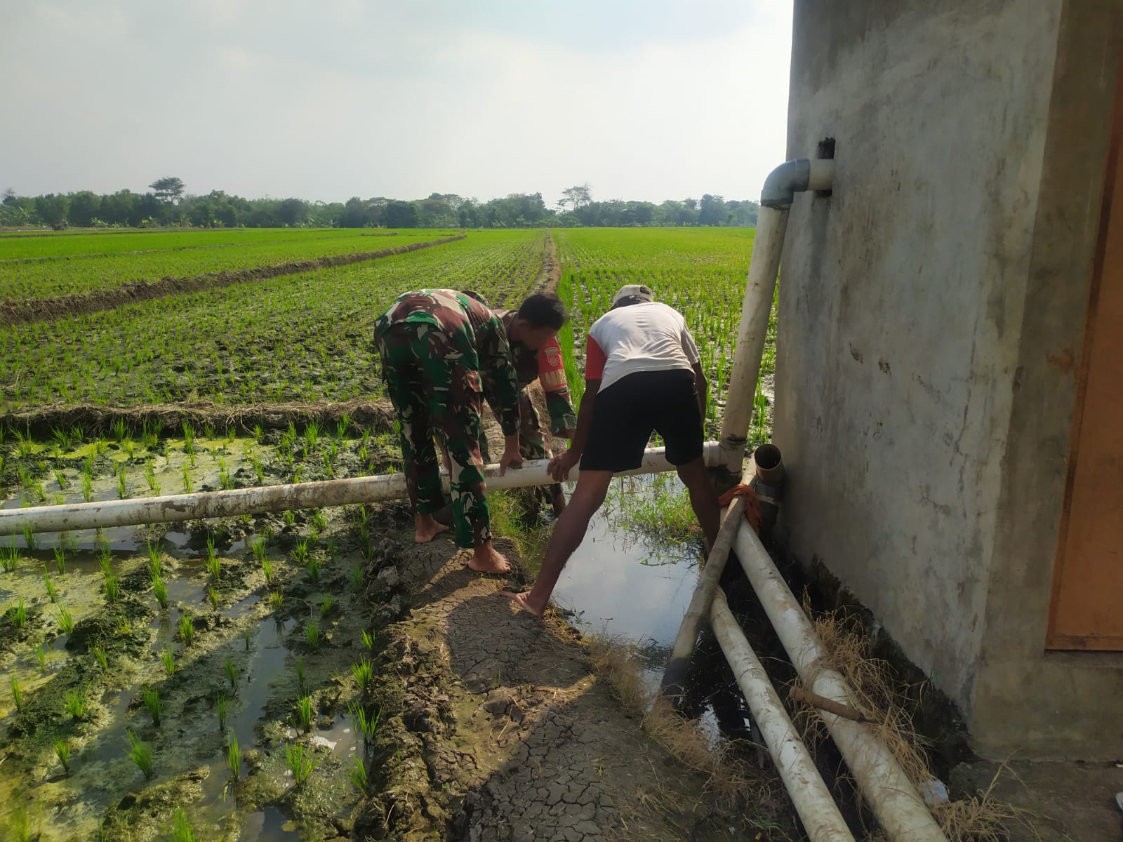 Babinsa Bantu Pengairan Sawah, Dukung Ketahanan Pangan di Wilayah