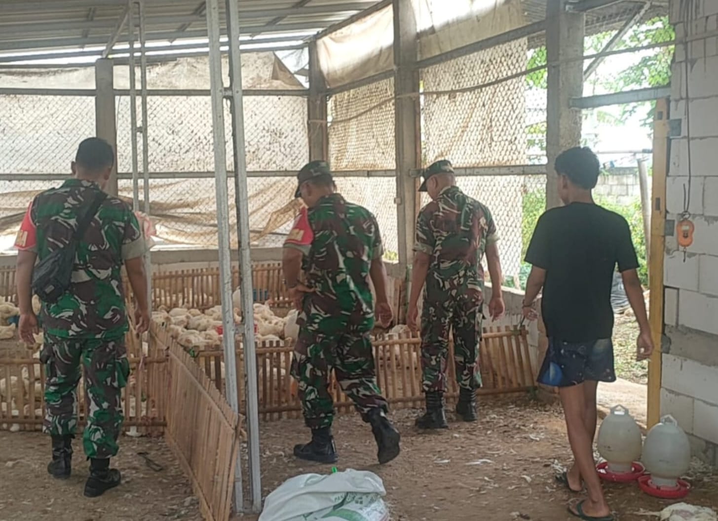 Babinsa Jadikan Kandang Ayam Potong Prioritas Pantauan di Wilayah Binaan