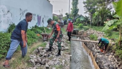 Babinsa Bangun Talud Irigasi Sawah Bersama Warga Babinsa Bangun Talud Irigasi Sawah Bersama Warga