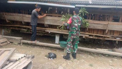 Jelang Idul Adha, Babinsa Imbau Peternak Kambing Jaga Kesehatan Ternak