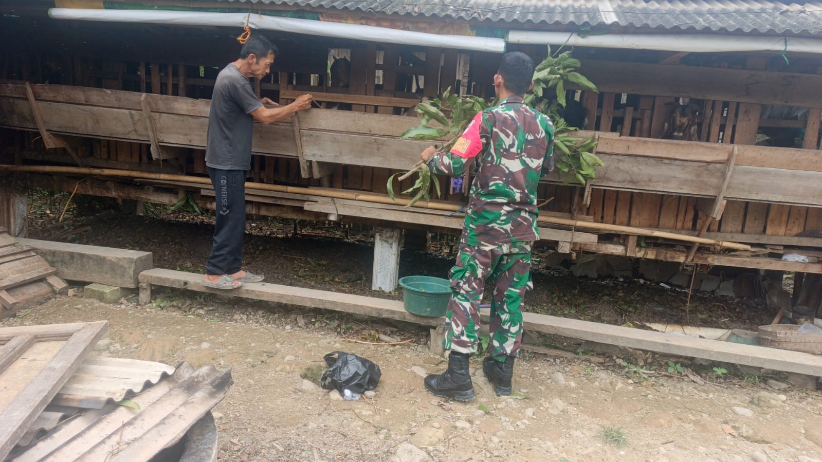 Jelang Idul Adha, Babinsa Imbau Peternak Kambing Jaga Kesehatan Ternak