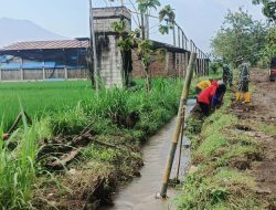 Menjaga Air Tetap Lancar, Babinsa Gotong Royong Bersihkan Saluran Irigasi