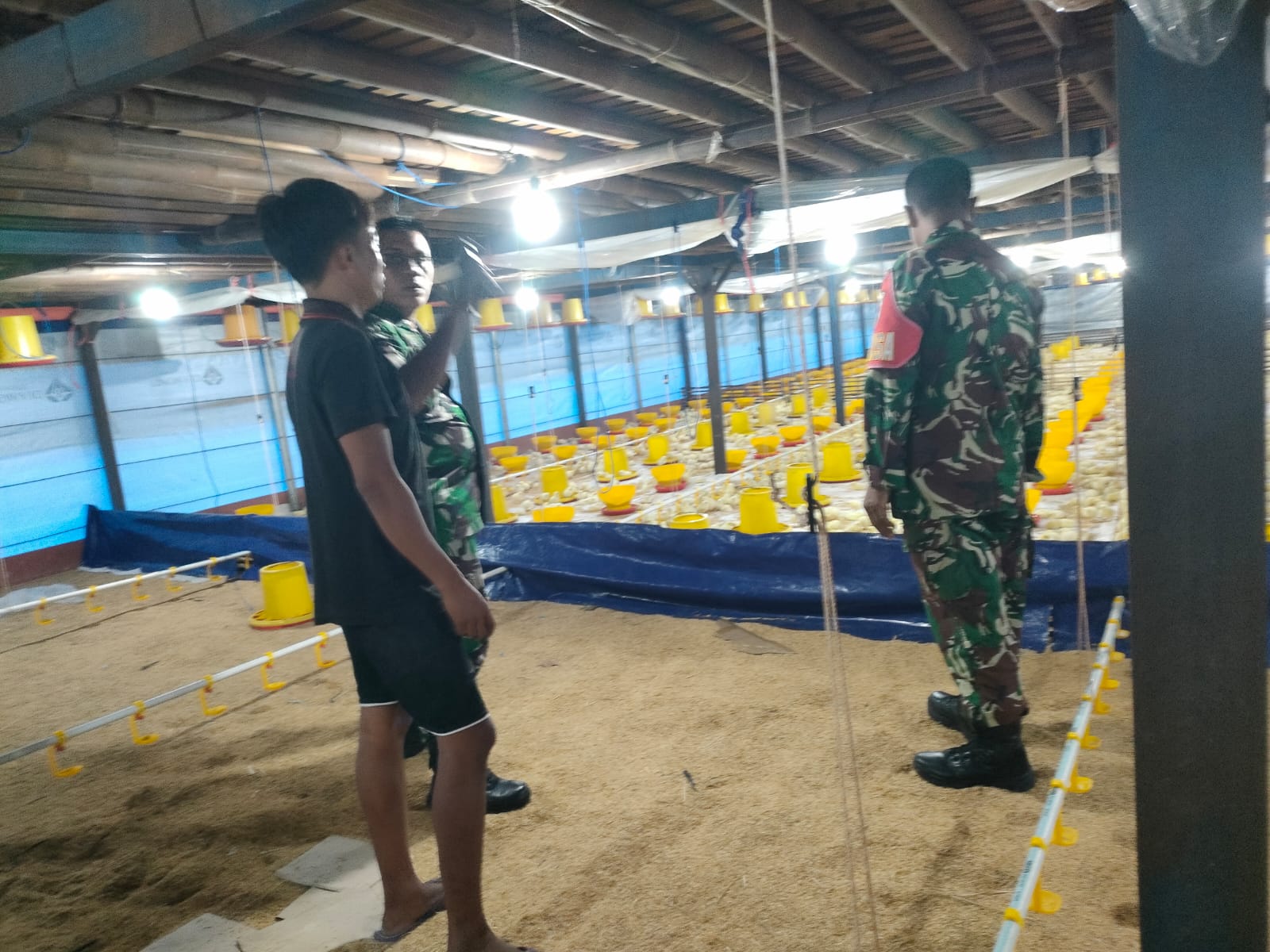 Babinsa Imbau Pemilik Kandang Ayam Jaga Kebersihan Lingkungan