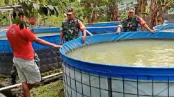 Dukung Ketahanan Pangan, Babinsa Dorong Budidaya Ikan Jadi Sumber Penghasilan Peternak 