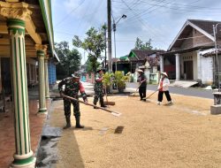 Babinsa Bantu Jemur Padi, Wujudkan Gabah Berkualitas