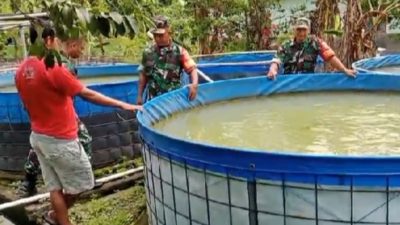 Dukung Ketahanan Pangan, Babinsa Dorong Budidaya Ikan Jadi Sumber Penghasilan Peternak 