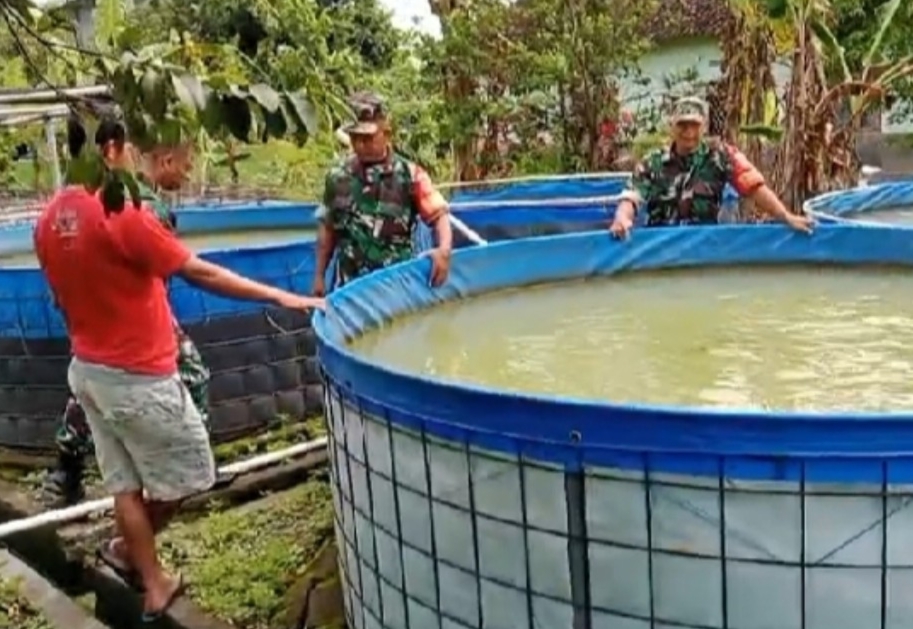 Dukung Ketahanan Pangan, Babinsa Dorong Budidaya Ikan Jadi Sumber Penghasilan Peternak 