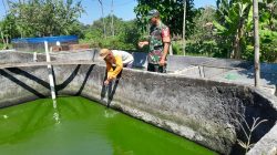 BABINSA BERI SEMANGAT PETANI IKAN, DORONG SWASEMBADA PANGAN DARI DESA