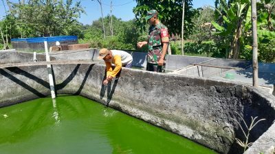 BABINSA BERI SEMANGAT PETANI IKAN, DORONG SWASEMBADA PANGAN DARI DESA