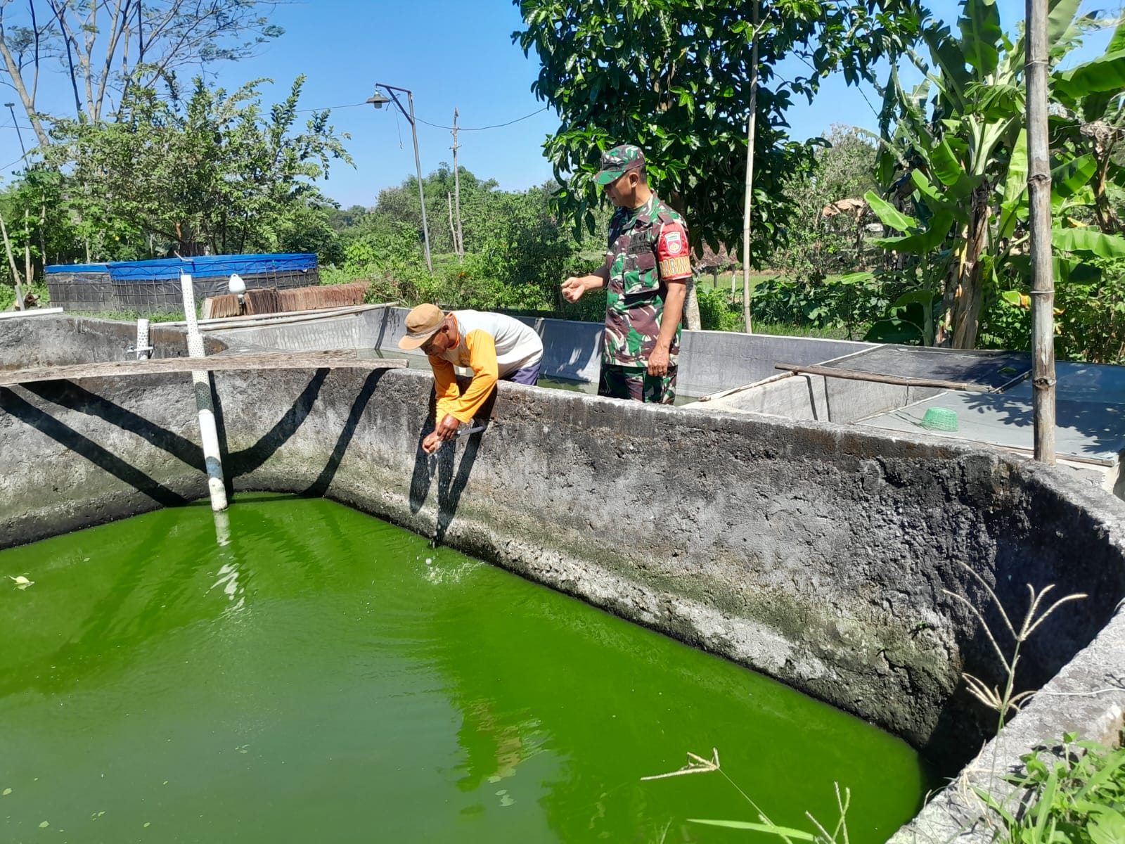 BABINSA BERI SEMANGAT PETANI IKAN, DORONG SWASEMBADA PANGAN DARI DESA