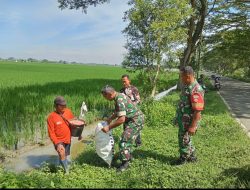 Babinsa Ingatkan Petani Saat Lakukan Pemupukan Padi